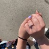 Sophia - forlovelsesring med moissanite og pavéfattede sidesteiner